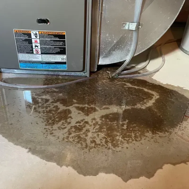 Appliance Leak Cleanup in Hillsville, VA